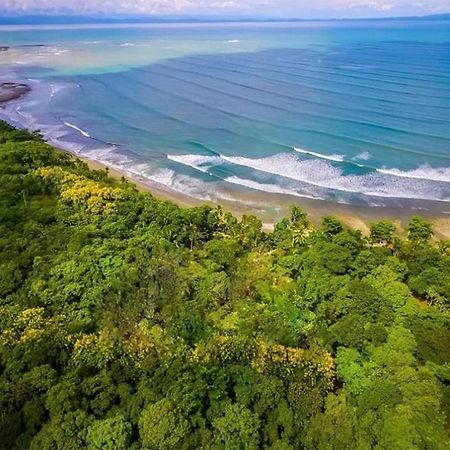 Four Monkeys Eco Lodge Jungle & Beach - The House Cabo Matapalo ภายนอก รูปภาพ