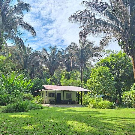 Four Monkeys Eco Lodge Jungle & Beach - The House Cabo Matapalo ภายนอก รูปภาพ