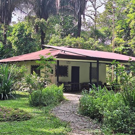Four Monkeys Eco Lodge Jungle & Beach - The House Cabo Matapalo ภายนอก รูปภาพ