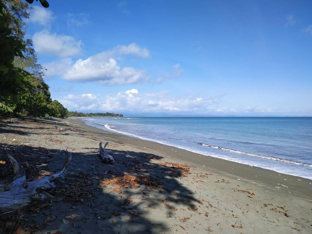 Four Monkeys Eco Lodge Jungle & Beach - The House Cabo Matapalo ภายนอก รูปภาพ