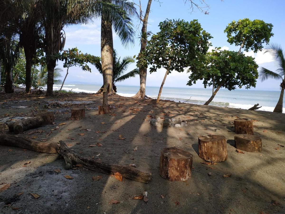 Four Monkeys Eco Lodge Jungle & Beach - The House Cabo Matapalo ภายนอก รูปภาพ