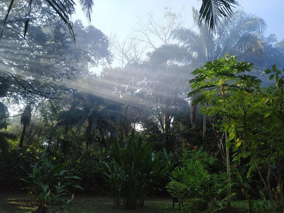 Four Monkeys Eco Lodge Jungle & Beach - The House Cabo Matapalo ภายนอก รูปภาพ