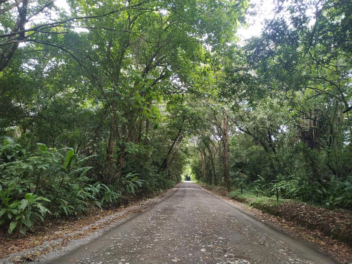 Four Monkeys Eco Lodge Jungle & Beach - The House Cabo Matapalo ภายนอก รูปภาพ