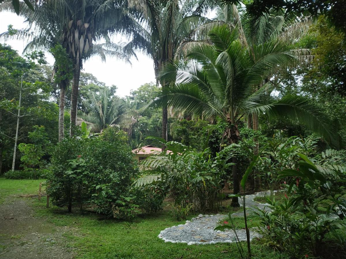 Four Monkeys Eco Lodge Jungle & Beach - The House Cabo Matapalo ภายนอก รูปภาพ