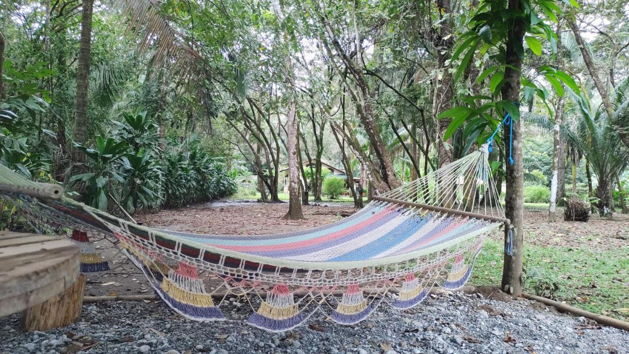 Four Monkeys Eco Lodge Jungle & Beach - The House Cabo Matapalo ภายนอก รูปภาพ