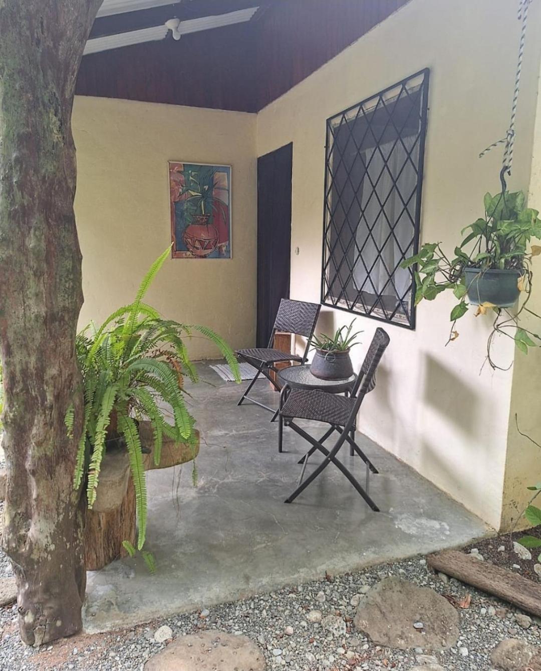 Four Monkeys Eco Lodge Jungle & Beach - The House Cabo Matapalo ภายนอก รูปภาพ