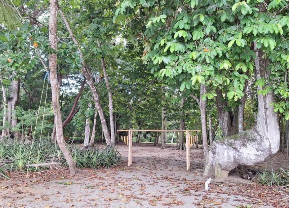 Four Monkeys Eco Lodge Jungle & Beach - The House Cabo Matapalo ภายนอก รูปภาพ