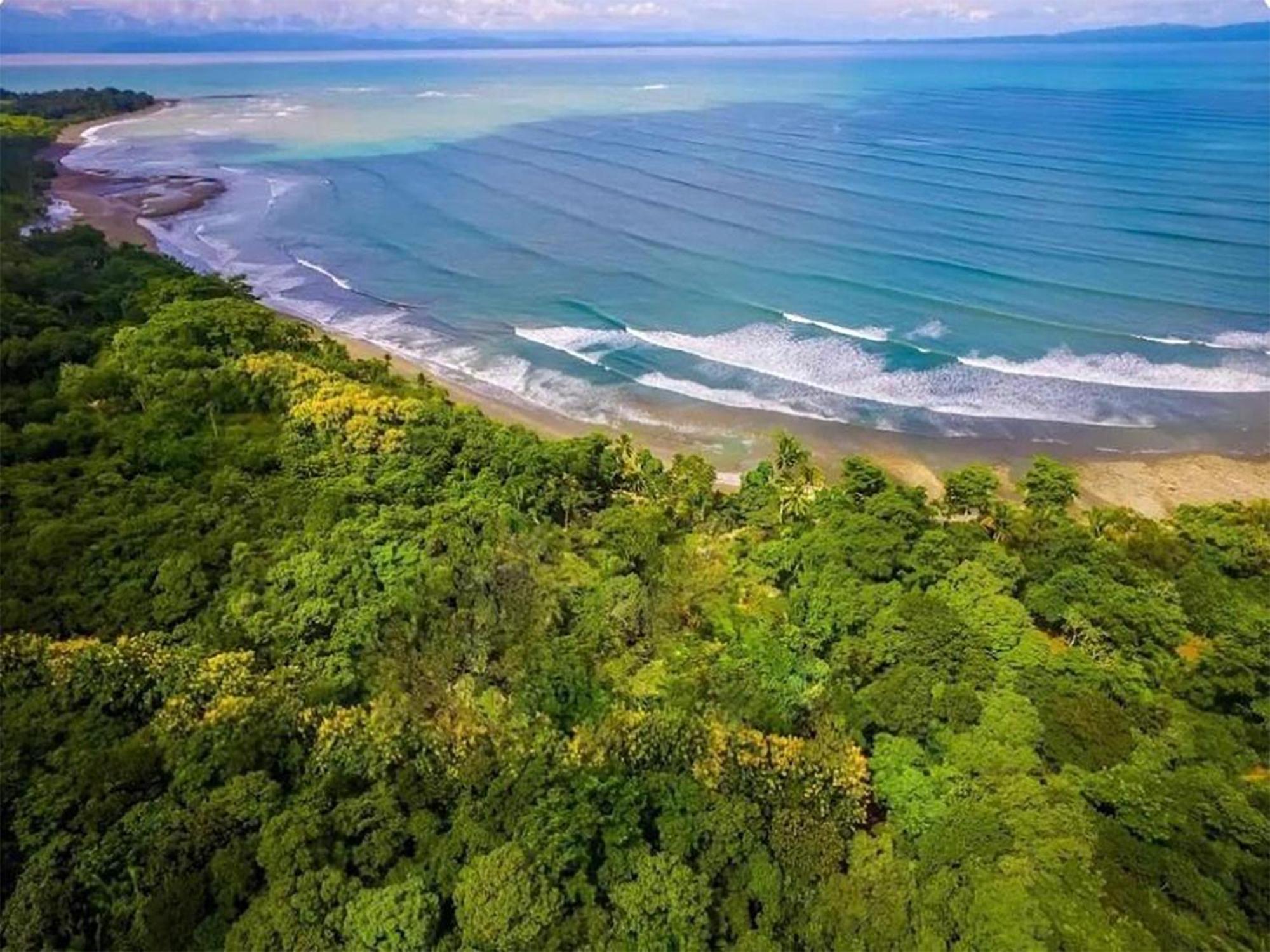 Four Monkeys Eco Lodge Jungle & Beach - The House Cabo Matapalo ภายนอก รูปภาพ