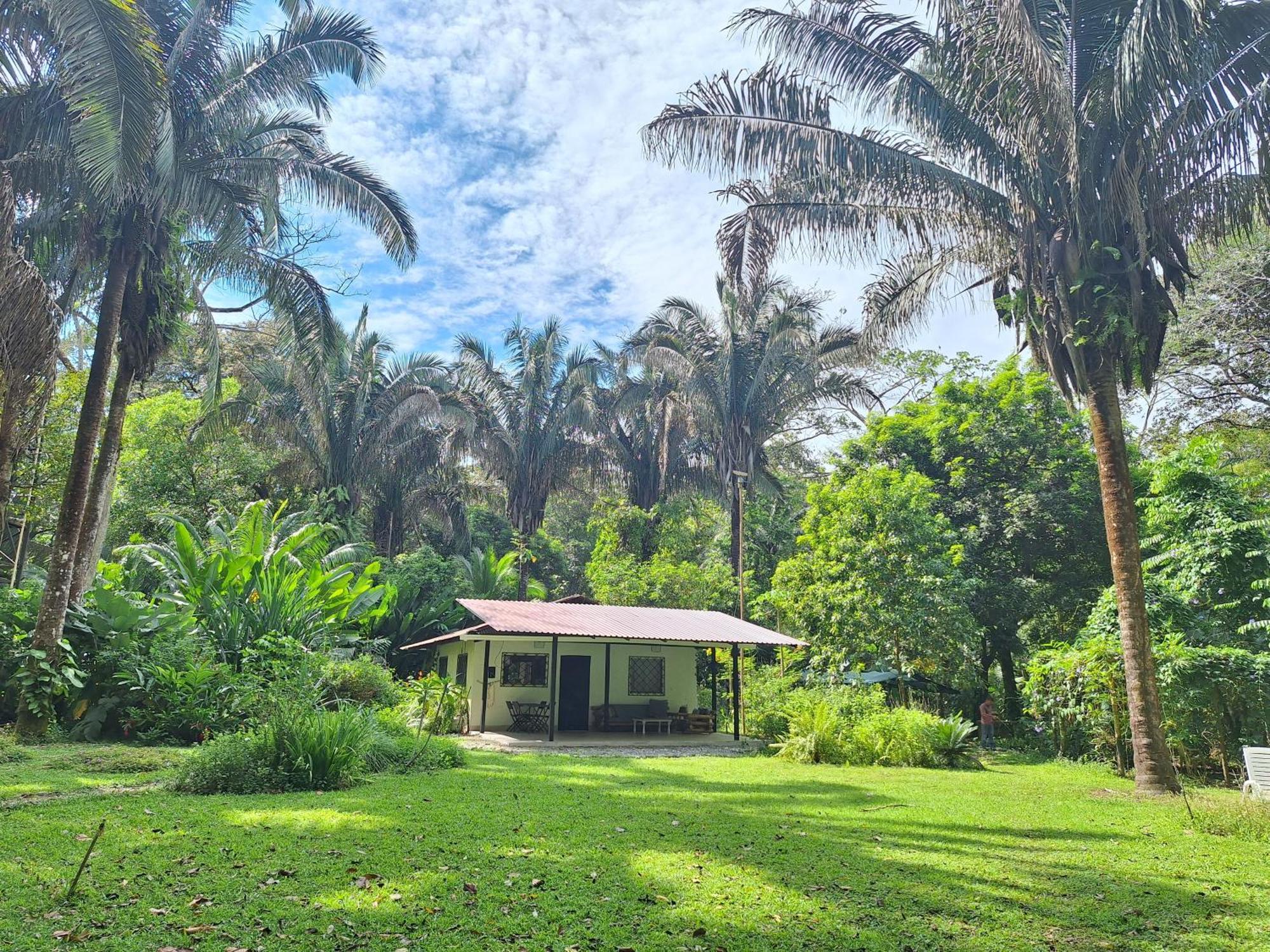 Four Monkeys Eco Lodge Jungle & Beach - The House Cabo Matapalo ภายนอก รูปภาพ