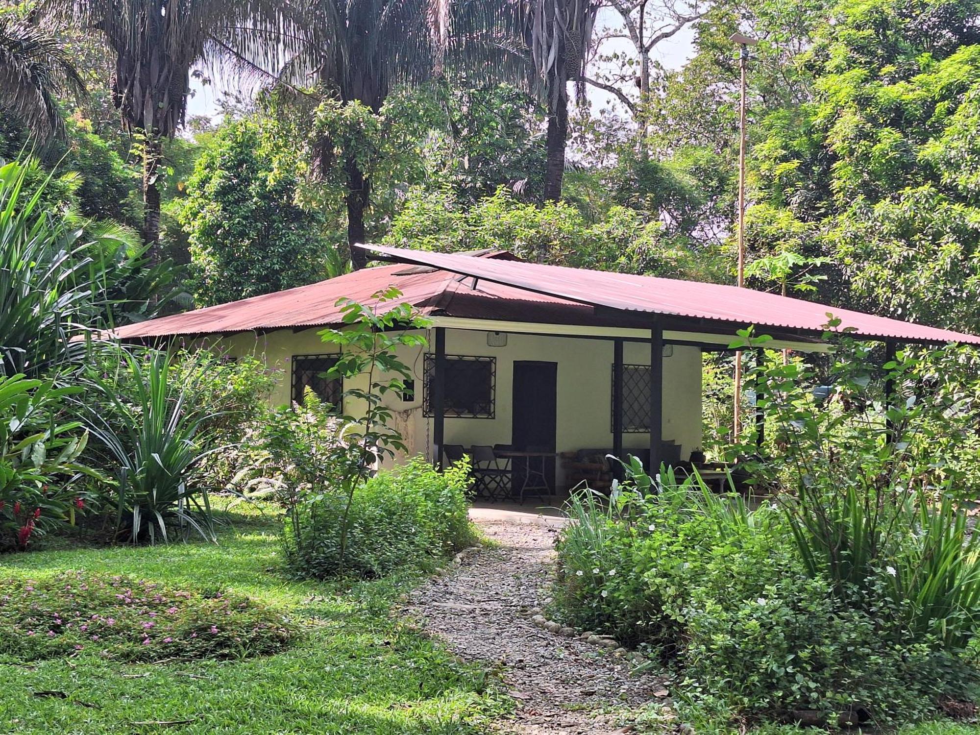 Four Monkeys Eco Lodge Jungle & Beach - The House Cabo Matapalo ภายนอก รูปภาพ
