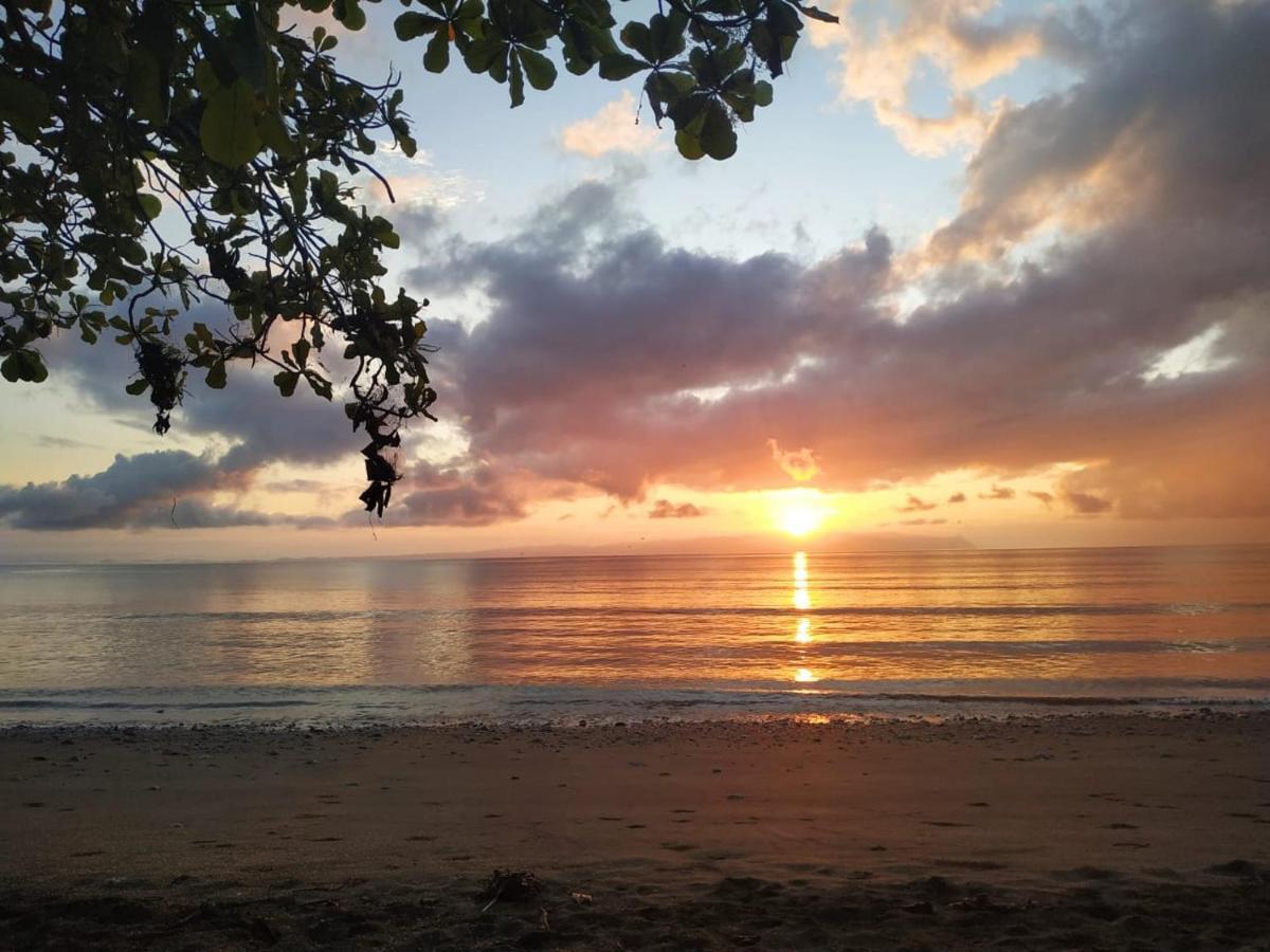 Four Monkeys Eco Lodge Jungle & Beach - The House Cabo Matapalo ภายนอก รูปภาพ